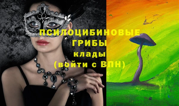 соль ск Медвежьегорск