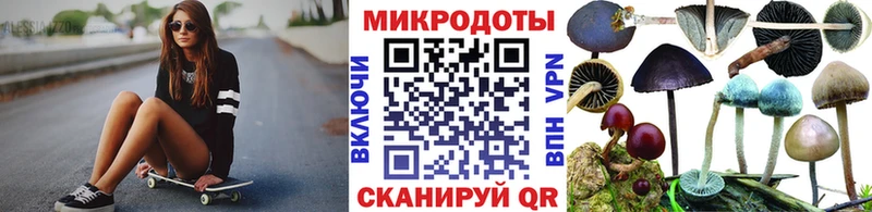 Купить  Шуя  Галлюциногенные грибы Psilocybe 